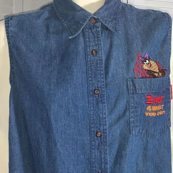 Tasmanian Devil Looney Tunes She-Devil Taz Flames Sleeveless Denim Button Top Wo - Picture 5 of 11